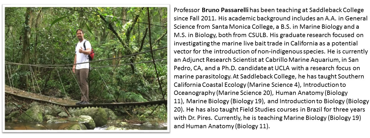 Faculty profile Bruno.jpg