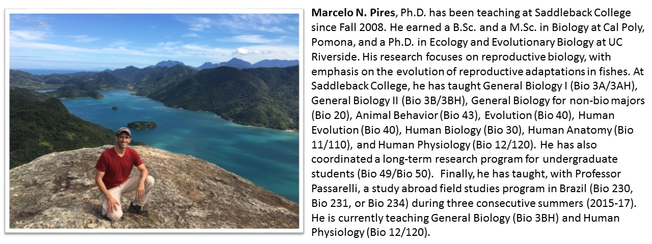 Faculty profile Marcelo.jpg